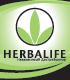 Независимый дистрибьютор Herbalife